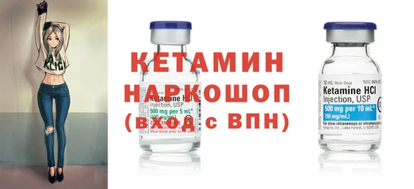 соль ск Дмитриев