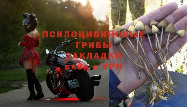 соль ск Дмитриев