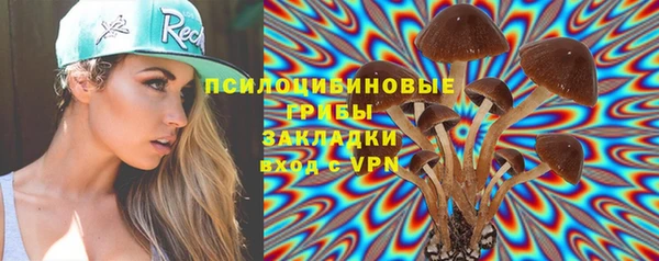 сатива Пересвет