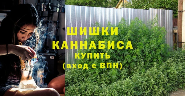 мдпв Пестово