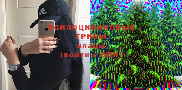гашишное масло Дмитровск