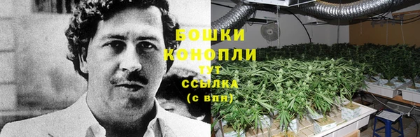 не бодяженный Гусь-Хрустальный