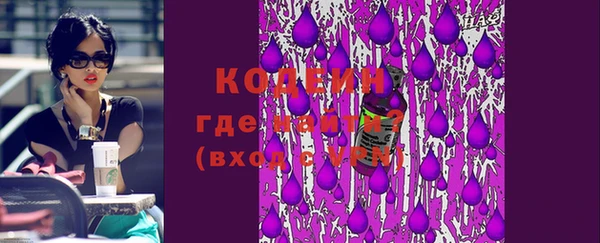 соль ск Дмитриев