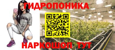PSILOCYBIN Гусь-Хрустальный