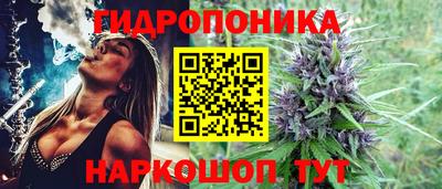 таблы Дубна