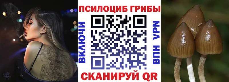 Галлюциногенные грибы GOLDEN TEACHER  купить  сайты  Спасск-Дальний 