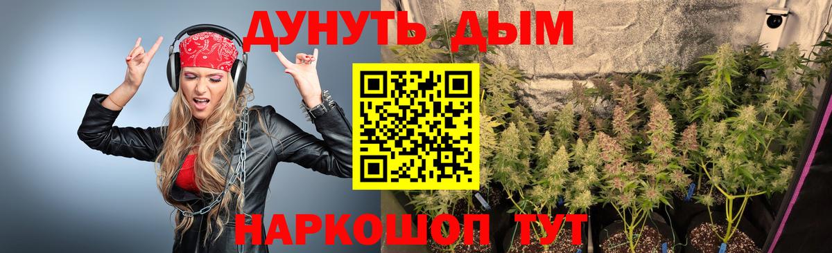 Каннабис OG Kush  Спасск-Дальний  Канабис индика 